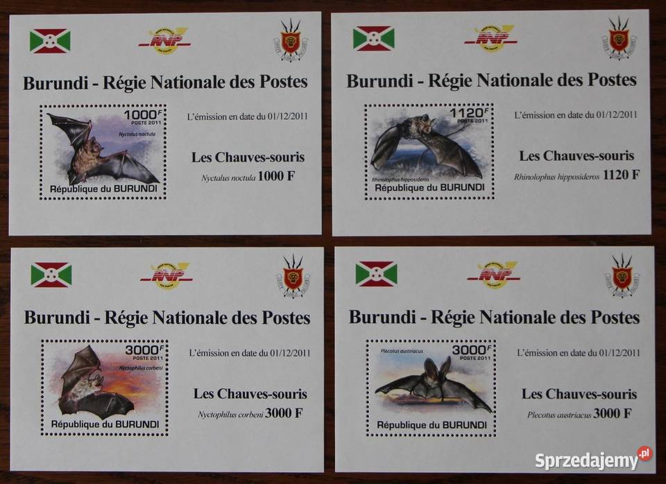 Burundi nietoperze ząbkowane Oborniki sprzedam