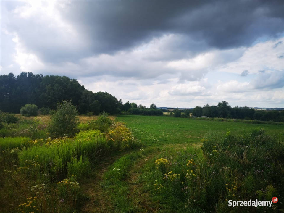 Działka budowlana w Kromnowie gm Stara Kamienica Kromnów