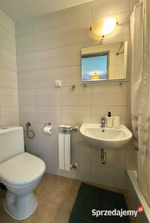 Lokal 250m2 Polańczyk Spokojna 250m2