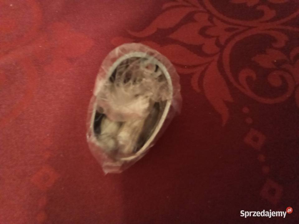 Uchwyt na prysznic nowy Akcesoria łazienkowe Warszawa