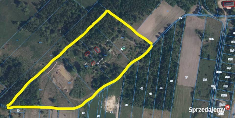 46ha z zabudowaniami i stawami Międzyborów