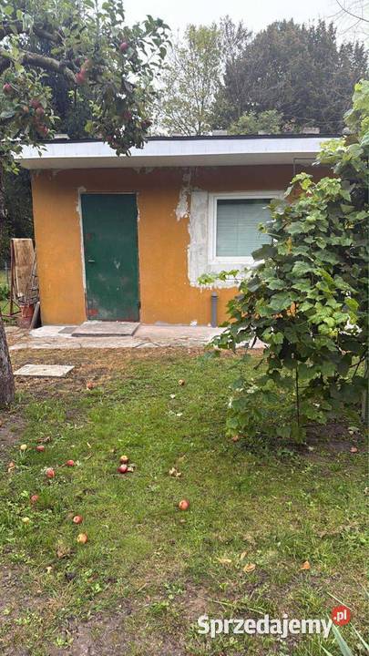 Działka ROD Janosik Sprzedaż łódzkie Łódź