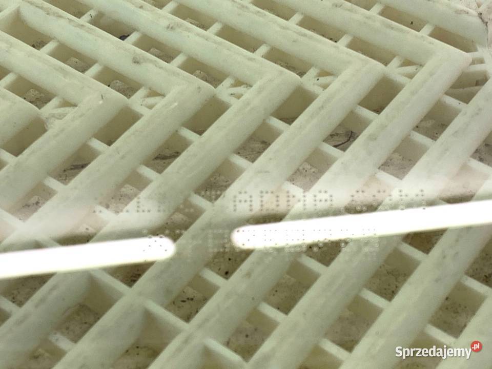 SZYBA PRAWY TYŁ LEXUS LBX Crossover TYLNA PRAWA