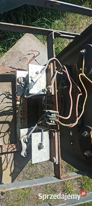 Prostownik pomorskie Bytonia