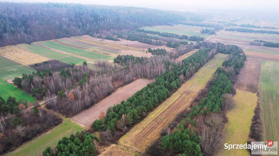 sprzedaży działki 10564m2 Wywłoczka 10564m2 lubelskie