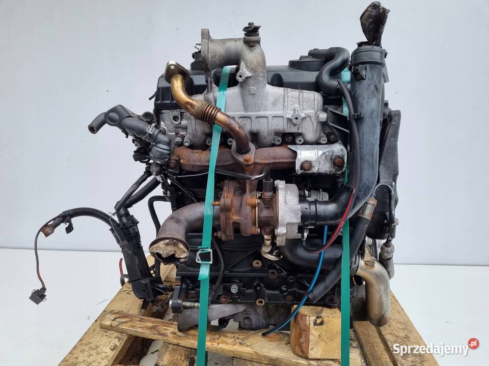 SILNIK KOMPLET Seat Alhambra 19 TDI 90 ANU osobowe Rudka