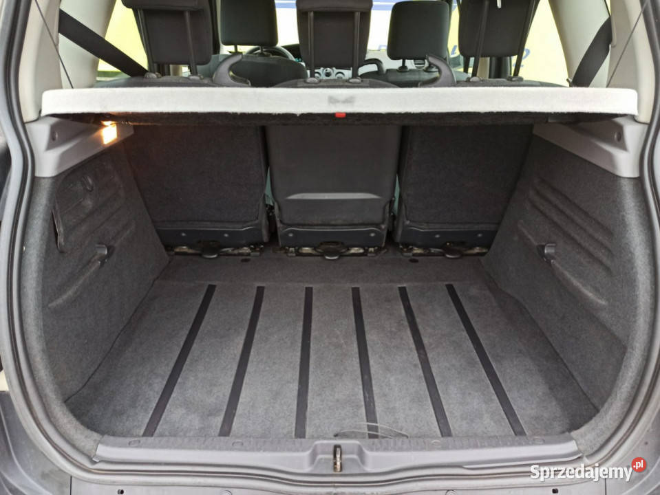 Renault Scenic 1 właściciel 19 lat II 20032009