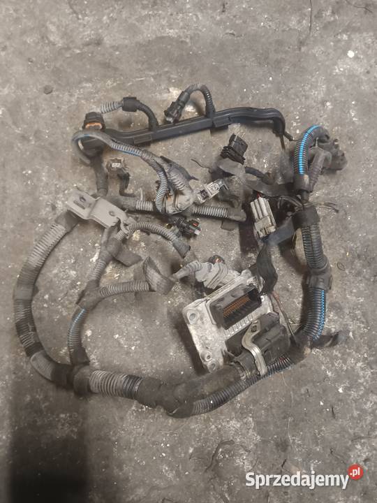 Sterowniki silnik opel 26sa7604 plus instrukcja Sobótka
