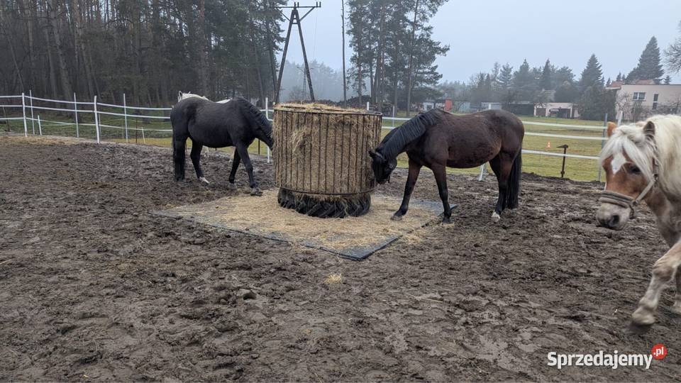 Maty stajenne do boksów i na padoki 120x80 śląskie Racibórz
