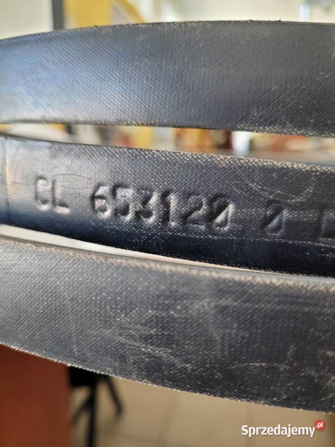 PASEK KLINOWY H25X16HX5760 Szczecin