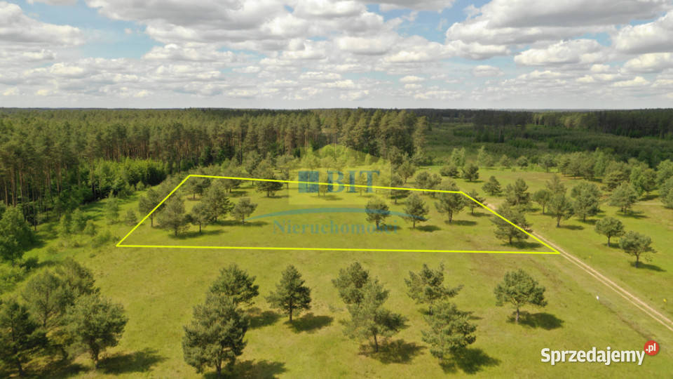 Działki budowlane o pow 5379m2 jez Dołgie zachodniopomorskie