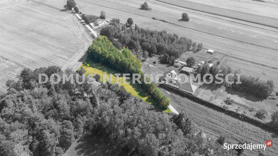 Grunt 3561m2 Jaroszki prąd łódzkie