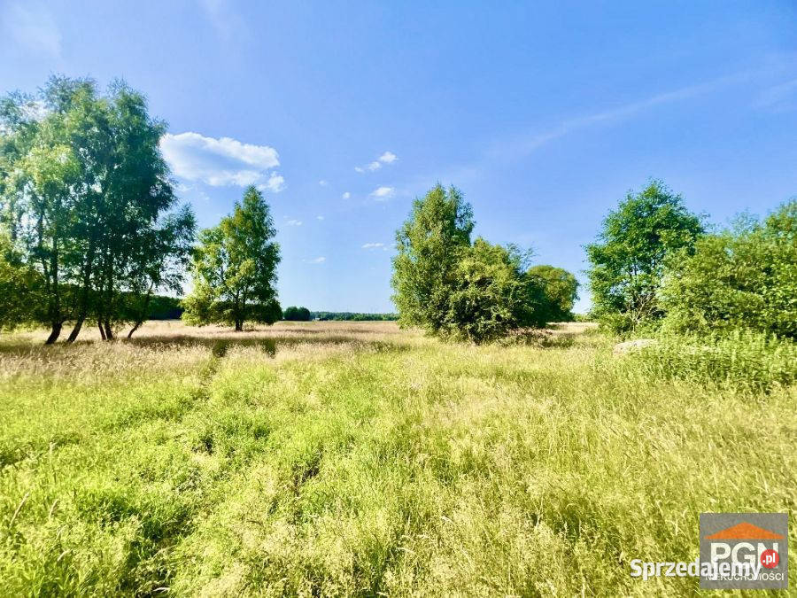 sprzedaży działki Pobierowo 11000m2 Sprzedaż