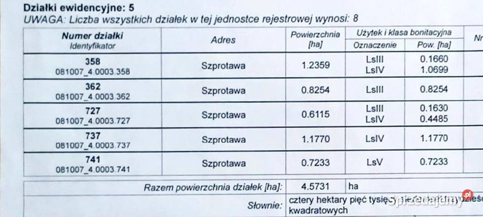 Las dębowy lubuskie Szprotawa