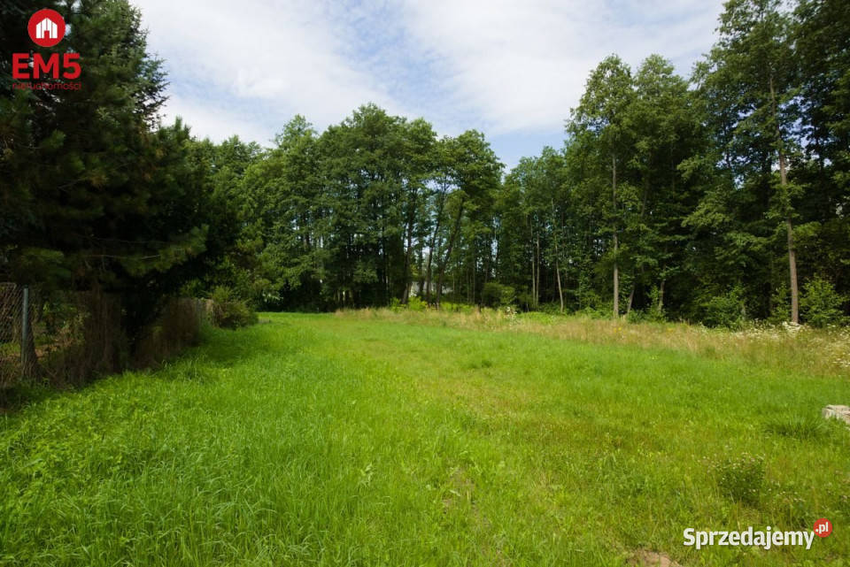 Sprzedam działka 18500m2 KsiężynoKolonia Księżyno sprzedam
