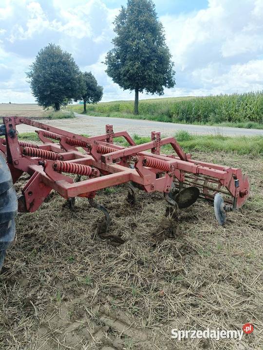 Gruber 3metry Głębosze Mroczno