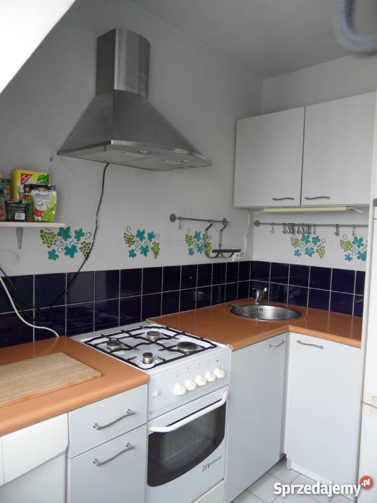 Bugaj Wajsówny BEZPOŚREDNIO Pabianice