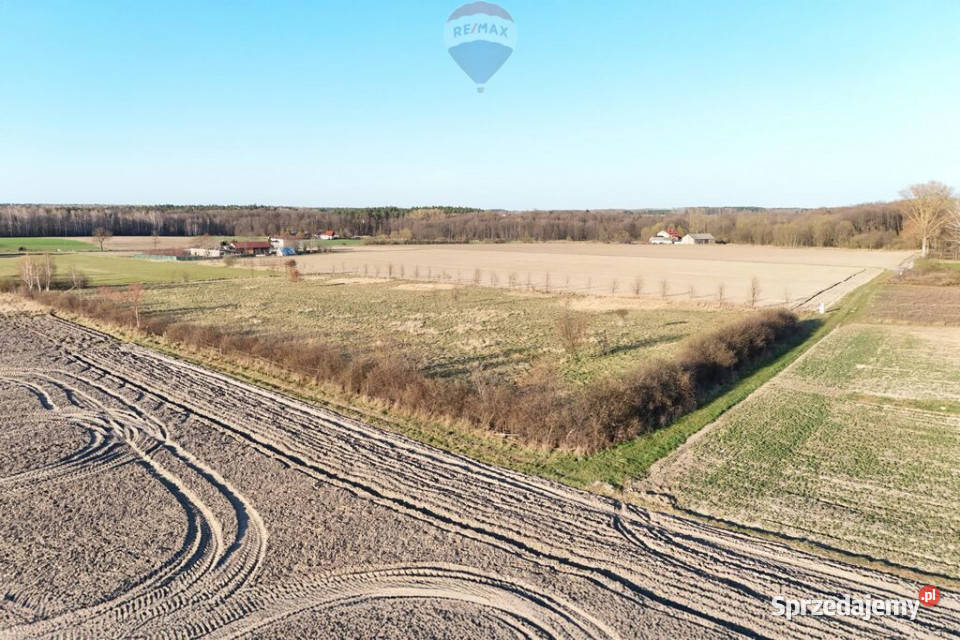 Ponad hektar przestrzeni 40 minut Warszawy