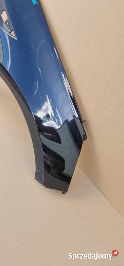 RENAULT TALISMAN BŁOTNIK PRAWY PRZÓD 631007355R Błotniki Bieleń