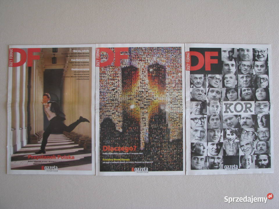 DF Duży Format tygodnik Gazety Wyborczej z roku miękka Książki i Podręczniki małopolskie Brzegi