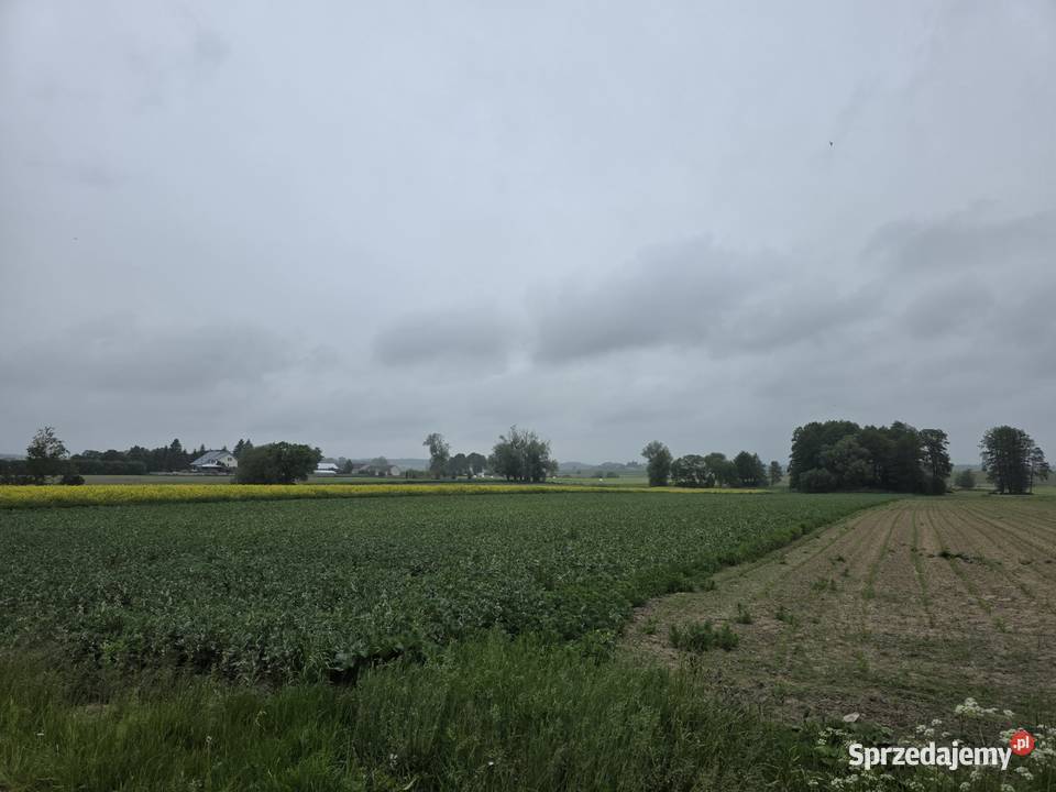 Działka rolna 8313m2 III klasa ziemi mazowieckie