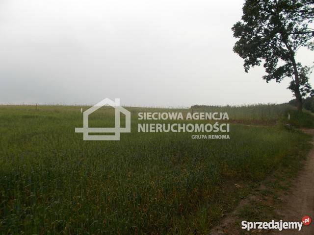 sprzedaży gruntu 41960m2 kujawsko-pomorskie