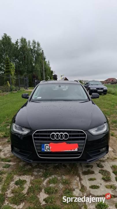 Audi A4 Pszczółki