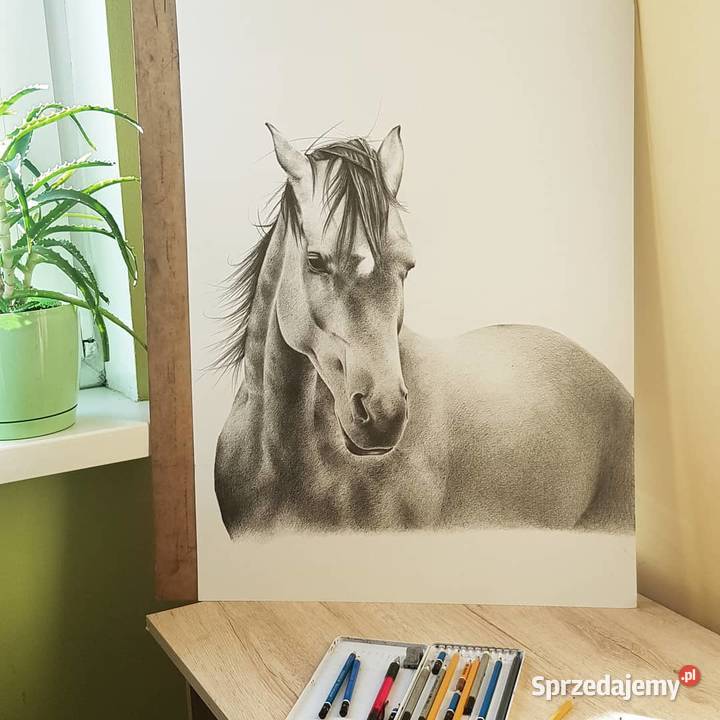 Portret zwierzęcia osoby zamówienie Nowy Sącz