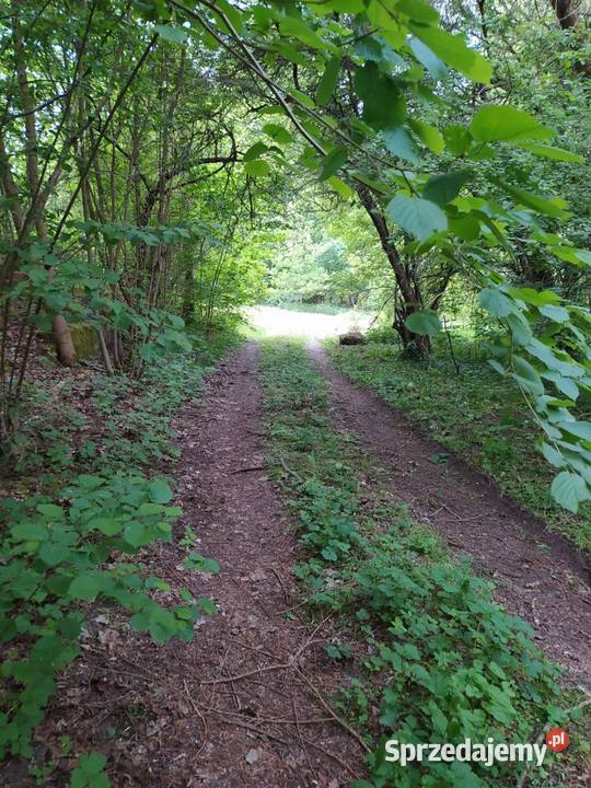 Działka budowlana z linią brzegową Nieruchomości