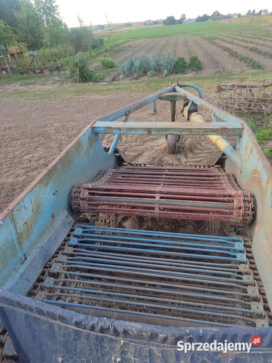 Kopaczka do ziemniaków