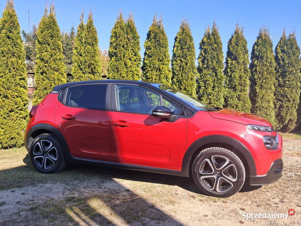 1wlasciciel 56 Osobą prywatna Skórcz