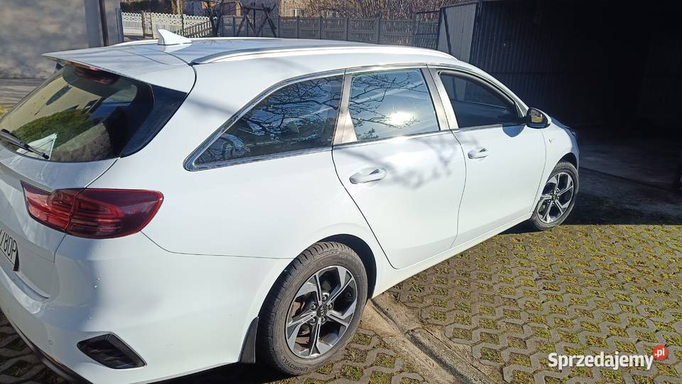 Kia ceed krajowa