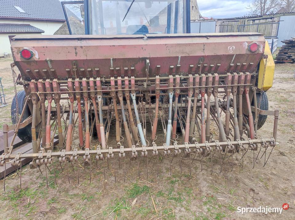 siewnik poznaniak wielkopolskie Głomsk sprzedam