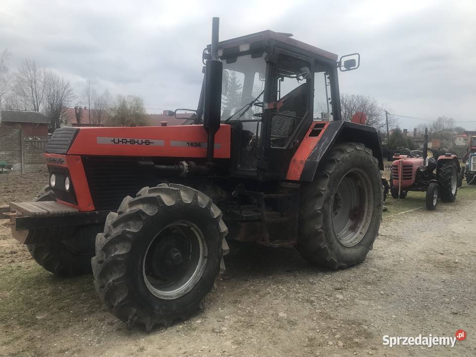 Ursus 1634