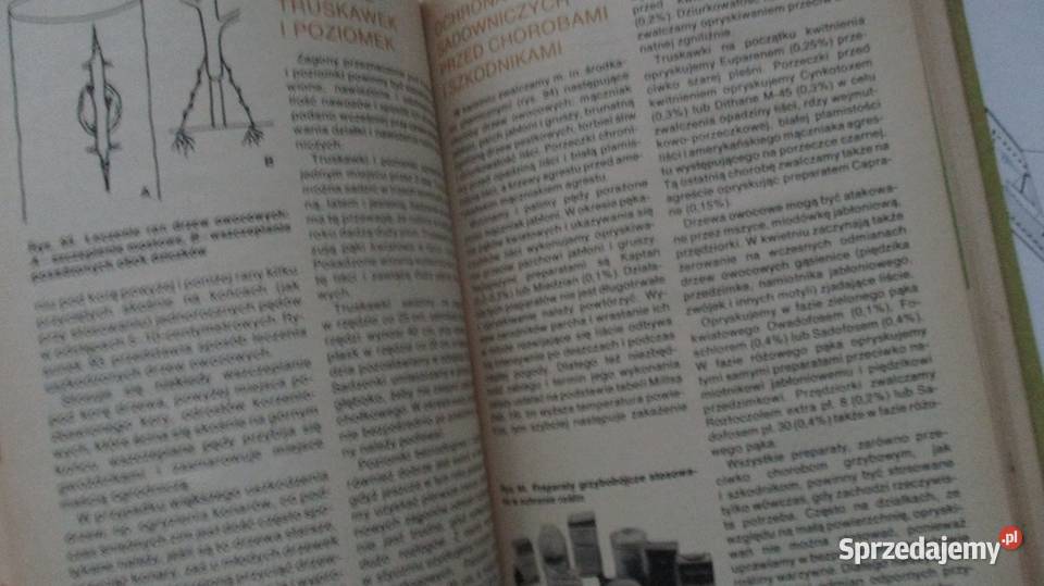 Zakładamy działkę na działce działka uprawa Łódź sprzedam