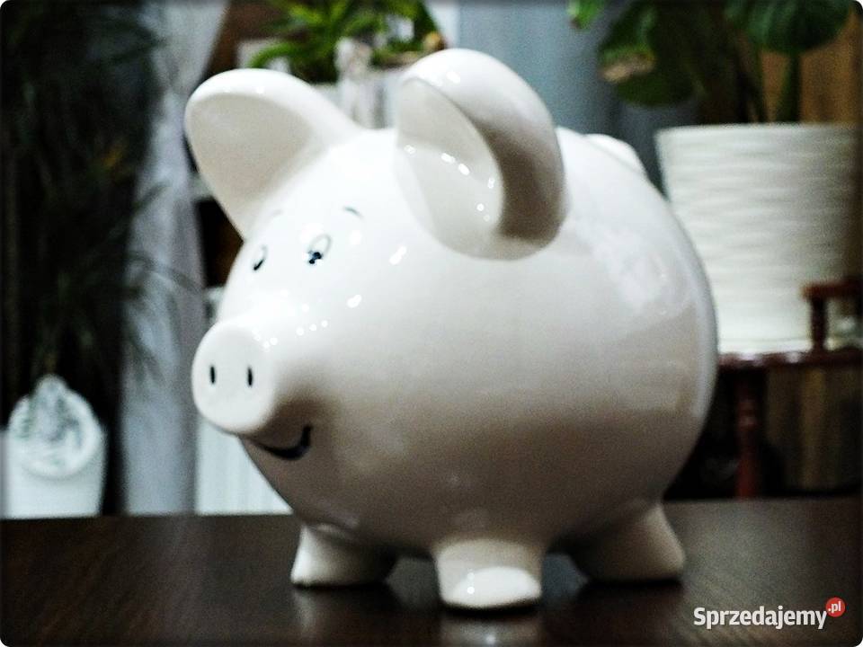 DUŻA Świnka skarbonka Duża i Gruba biała Figurki i rzeźby Żary