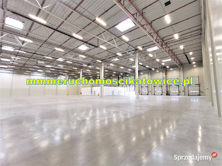 Magazyny do wynajęcia śląskie Katowice A4 0