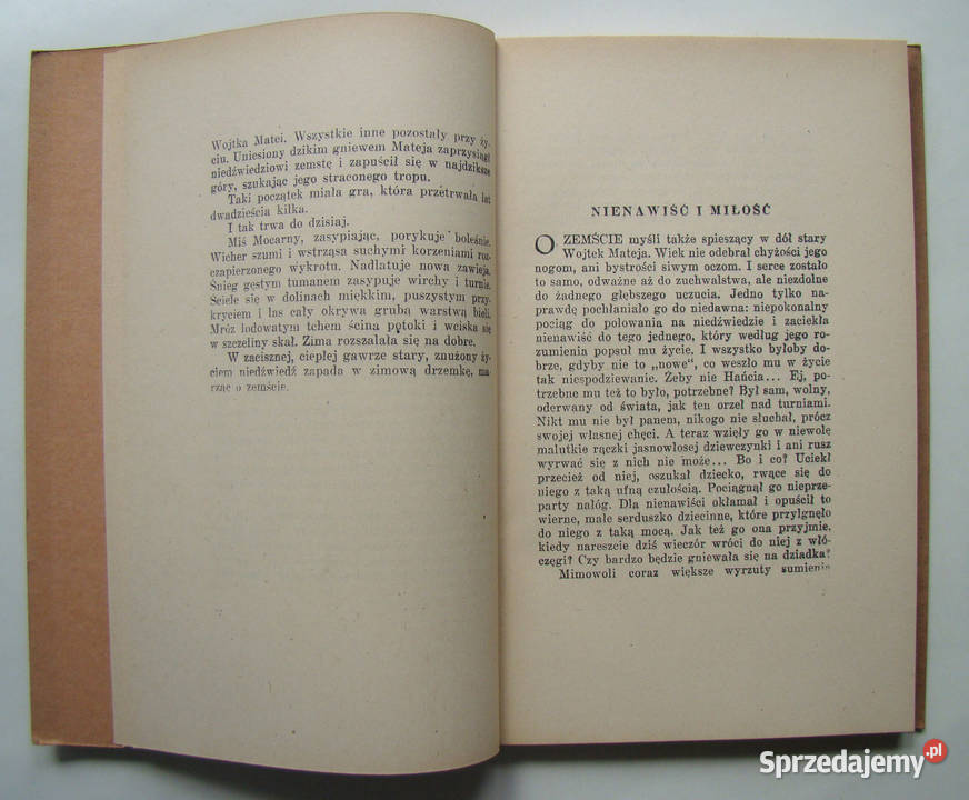 Pojednanie powieść o niedźwiedziu tatrzańskim małopolskie Limanowa