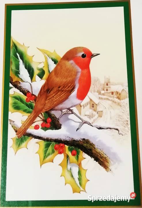 Świąteczna zięba Kraków