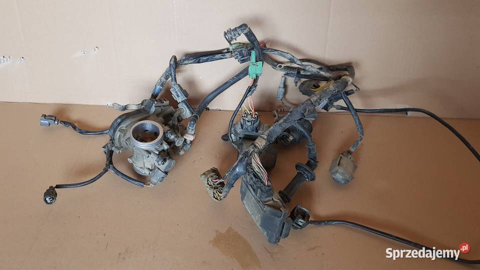 Wiązka elektryczna kawasaki Kxf 250 moduł cewka