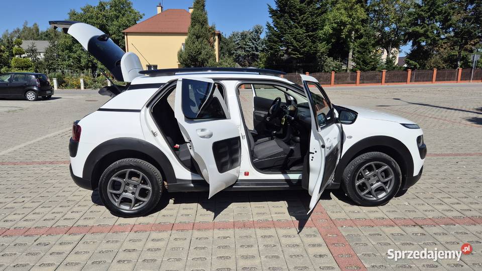 C4 CACTUS 12 82 OPŁATACH BEZWYPADKOWY Rzeszów
