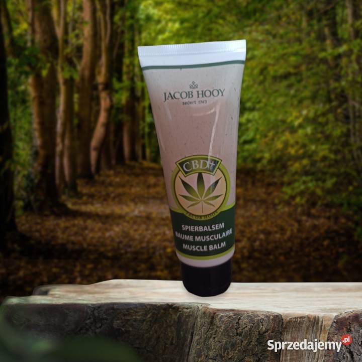 Jacob Hooy Balsam do Mięśni CBD Spierbalsem 75ml Unisex Łódź sprzedam