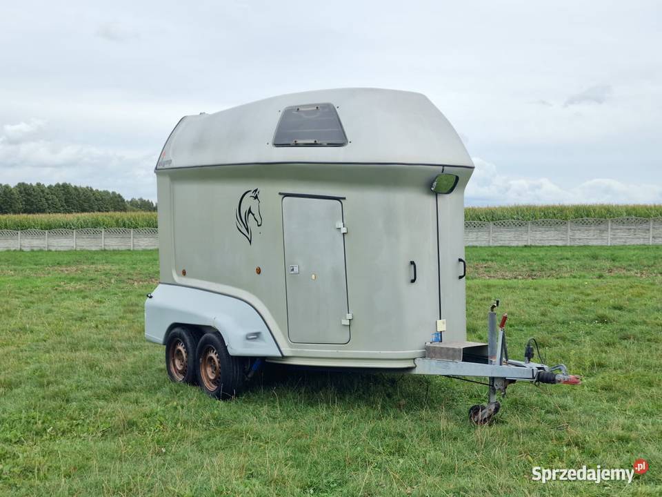 Przyczepa do przewozu koni SLUIS Olymp Motoryzacja Piekoszów sprzedam