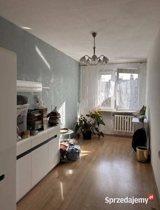Mieszkanie 3 pokoje 5375 mkw Sprzedaż Szczecin