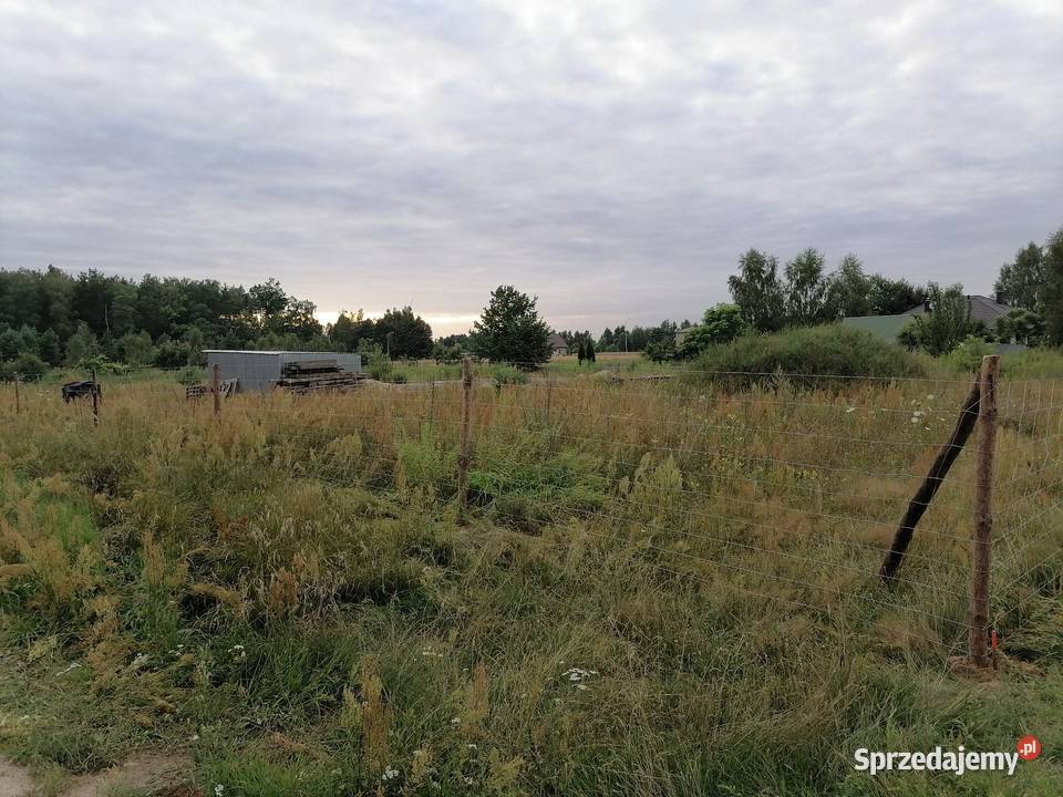 ogrodzenia z siatki leśnej tymczasowe budowlane Ogrodzenia i bramy Łódź