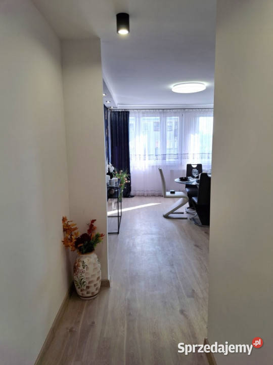 Mieszkanie 42m2 remoncie z widokiem na Sprzedaż Sprzedaż Kielce