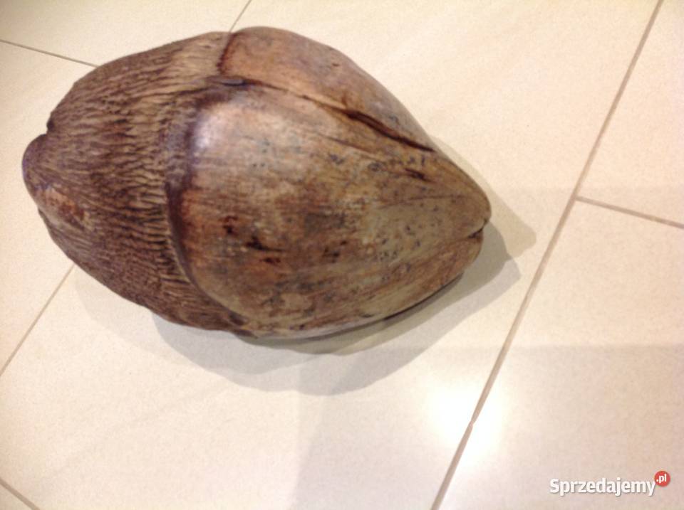 Dekoracja Orzech Kokosowy Brązowy Nowa Sól sprzedam