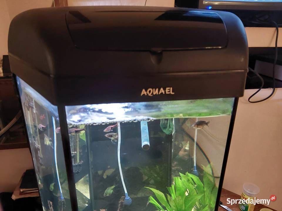 Akwarium 60 l oświetlenie napowietrzacz Pozostałe Mszana Dolna