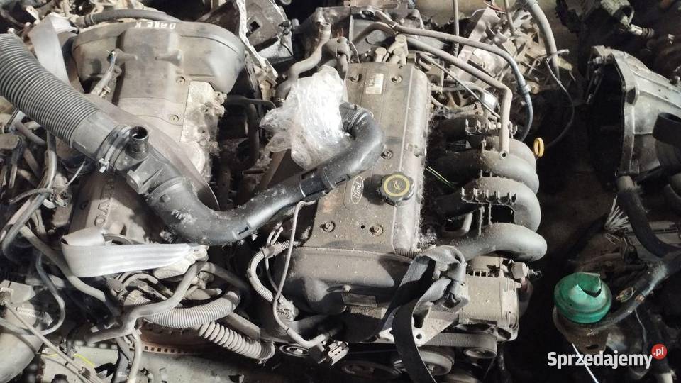 SILNIK KOMPLETNY FORD FOCUS MK1 16B Rudziniec