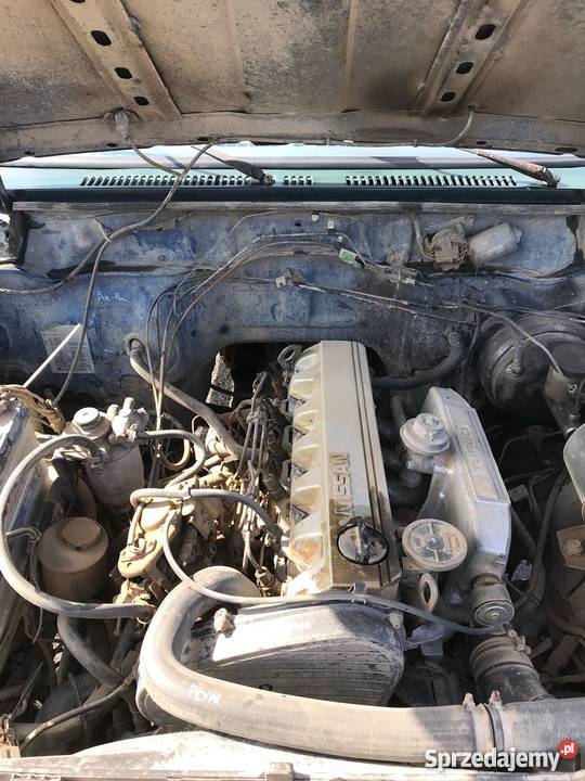 Nissan Patrol auto terenowe super silnik z Chełm